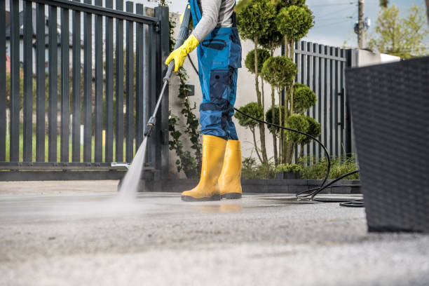 Animal Enclosure Cleaning in Katy, TX